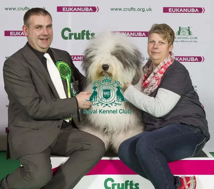 Framed Print : Crufts 2015 Framed Print : Crufts 2015