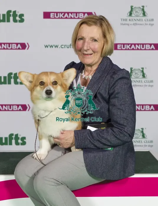 Framed Print : Crufts 2015 Framed Print : Crufts 2015