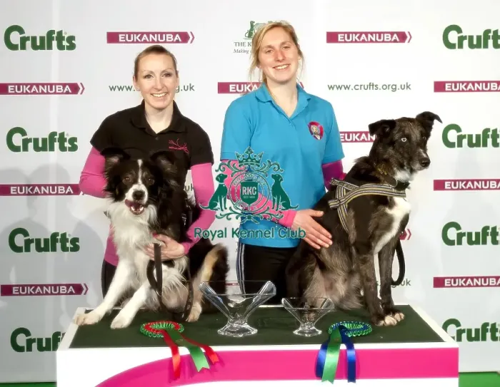 Framed Print : Crufts 2015