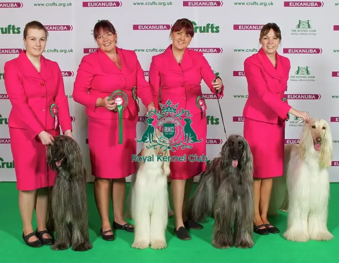 Framed Print : Crufts 2015