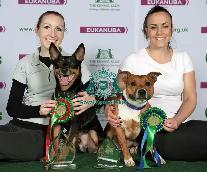 Framed Print : Crufts 2015 Framed Print : Crufts 2015