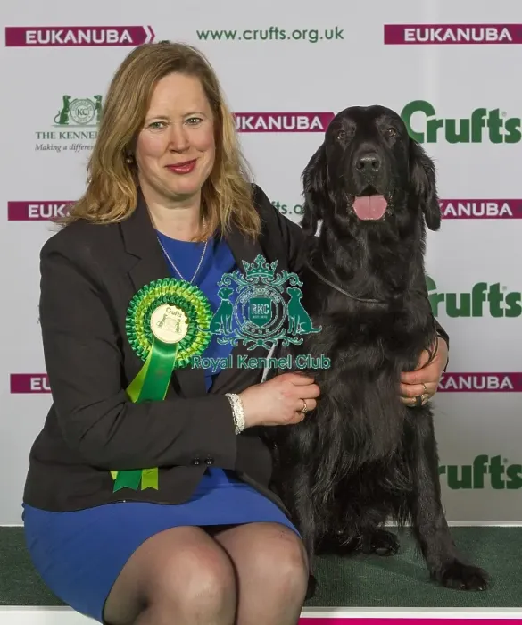 Framed Print : Crufts 2015 Framed Print : Crufts 2015