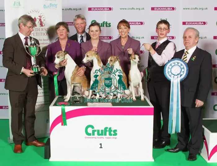 Framed Print : Crufts 2015 Framed Print : Crufts 2015