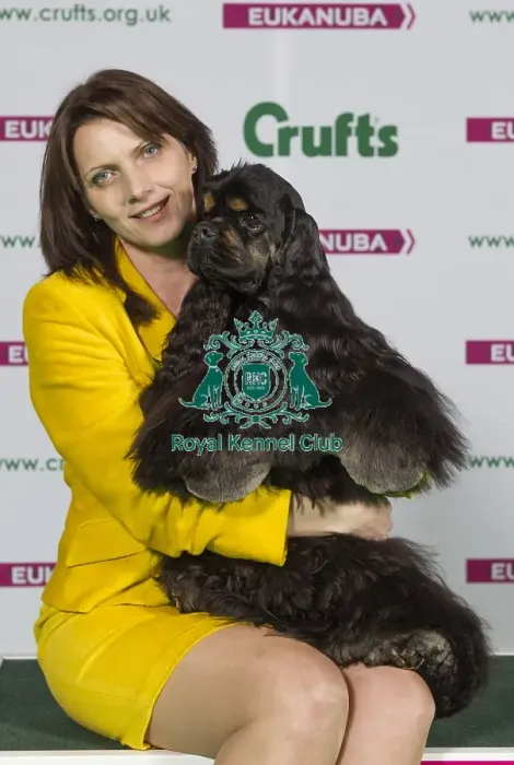 Framed Print : Crufts 2015 Framed Print : Crufts 2015