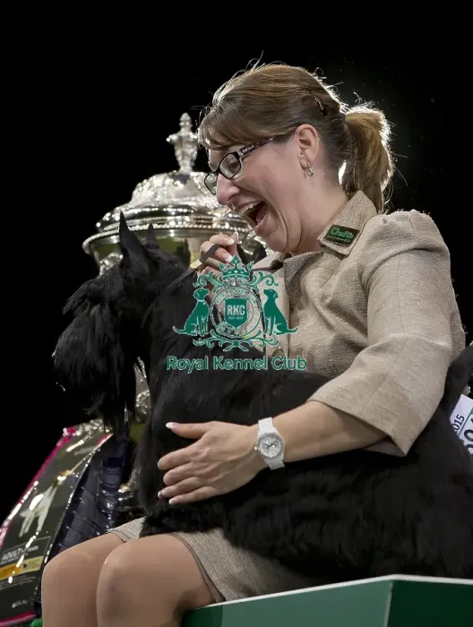 Framed Print : Crufts 2015 Framed Print : Crufts 2015