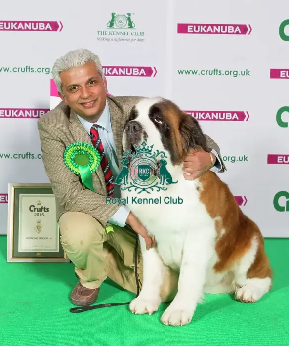 Framed Print : Crufts 2015 Framed Print : Crufts 2015