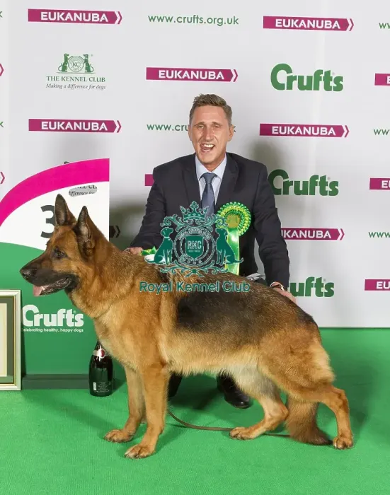 Framed Print : Crufts 2015 Framed Print : Crufts 2015