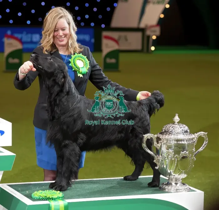 Framed Print : Crufts 2015 Framed Print : Crufts 2015