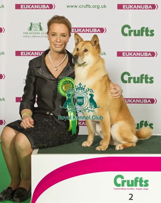 Framed Print : Crufts 2015 Framed Print : Crufts 2015