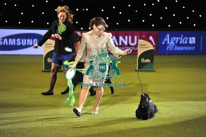 Framed Print : Crufts 2015 Framed Print : Crufts 2015