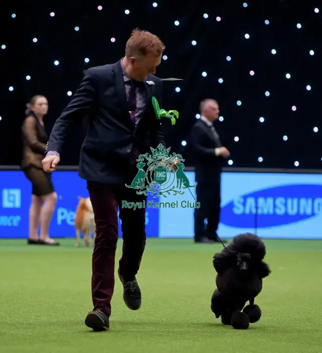Framed Print : Crufts 2015 Framed Print : Crufts 2015