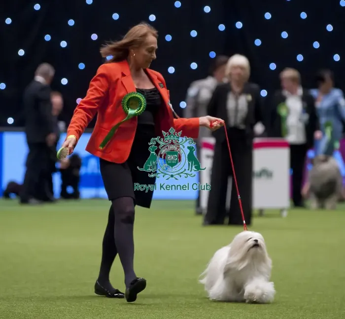 Framed Print : Crufts 2015 Framed Print : Crufts 2015