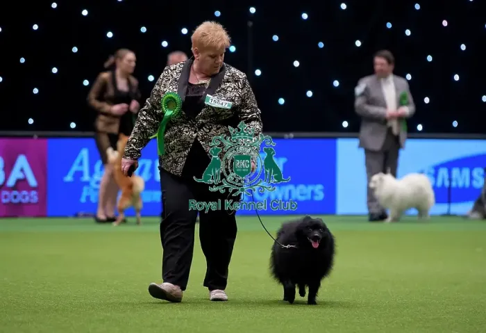 Framed Print : Crufts 2015 Framed Print : Crufts 2015