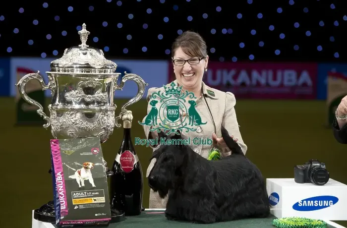 Framed Print : Crufts 2015