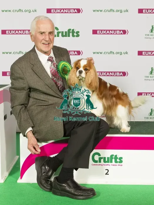 Framed Print : Crufts 2015