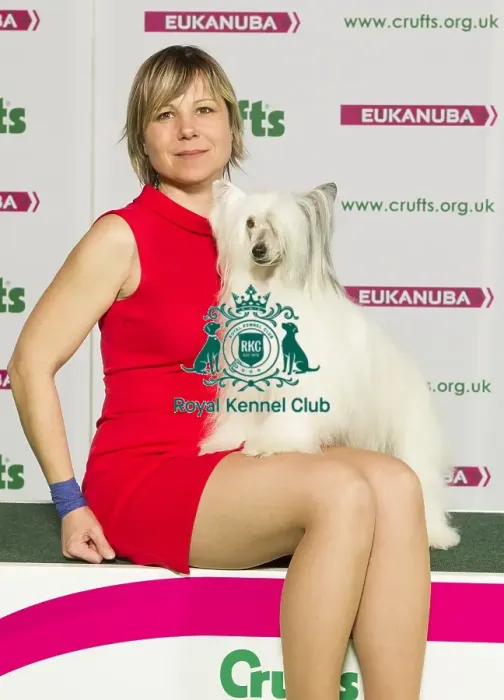 Framed Print : Crufts 2015 Framed Print : Crufts 2015