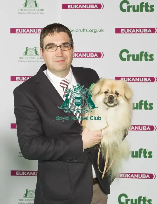 Framed Print : Crufts 2015 Framed Print : Crufts 2015