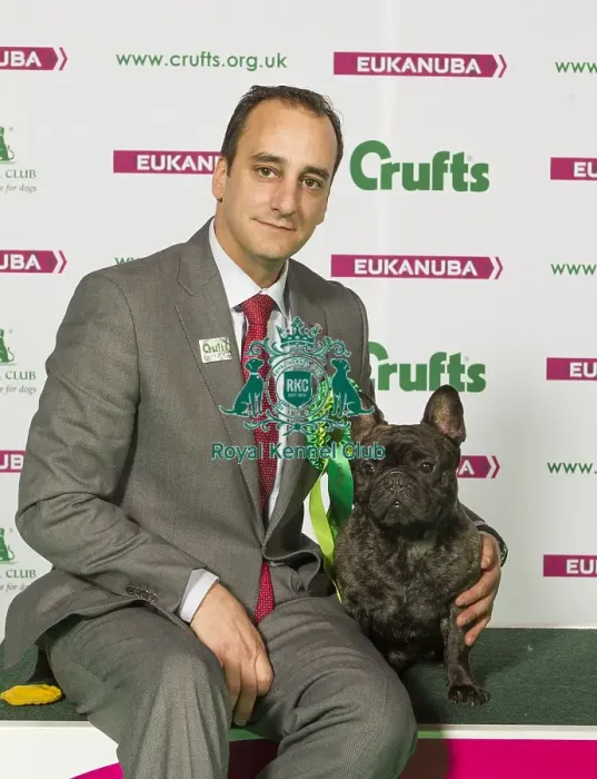 Framed Print : Crufts 2015 Framed Print : Crufts 2015