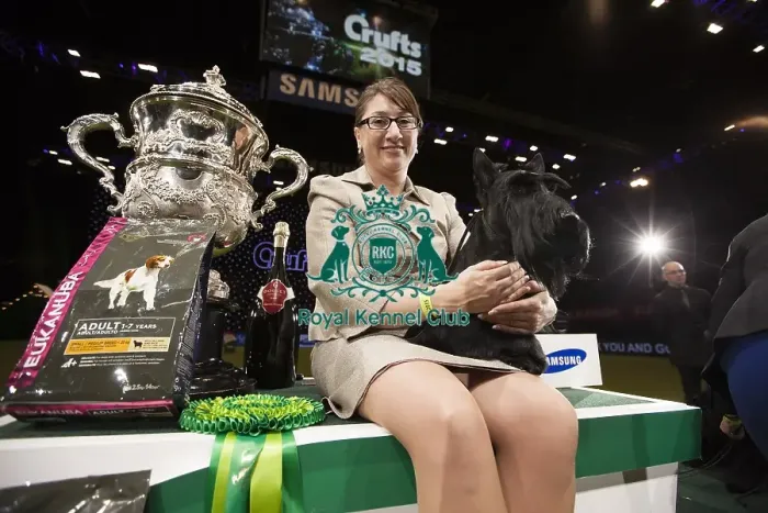 Framed Print : Crufts 2015 Framed Print : Crufts 2015
