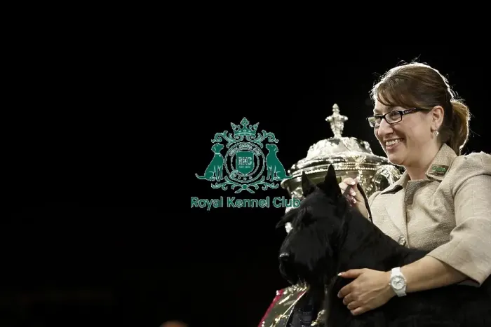 Framed Print : Crufts 2015