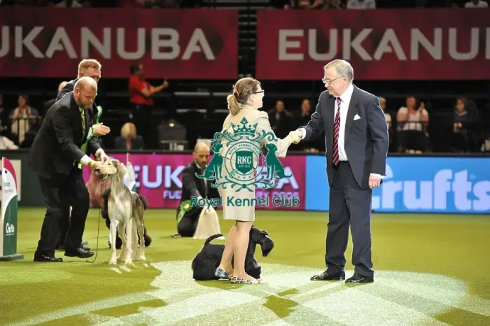 Framed Print : Crufts 2015 Framed Print : Crufts 2015