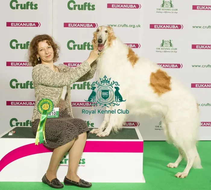Framed Print : Crufts 2015 Framed Print : Crufts 2015
