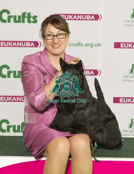 Framed Print : Crufts 2015 Framed Print : Crufts 2015