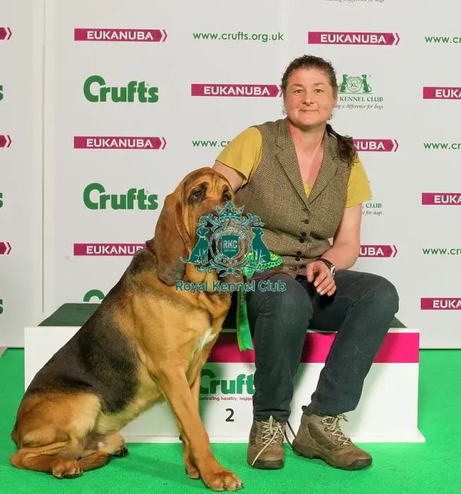 Framed Print : Crufts 2015 Framed Print : Crufts 2015