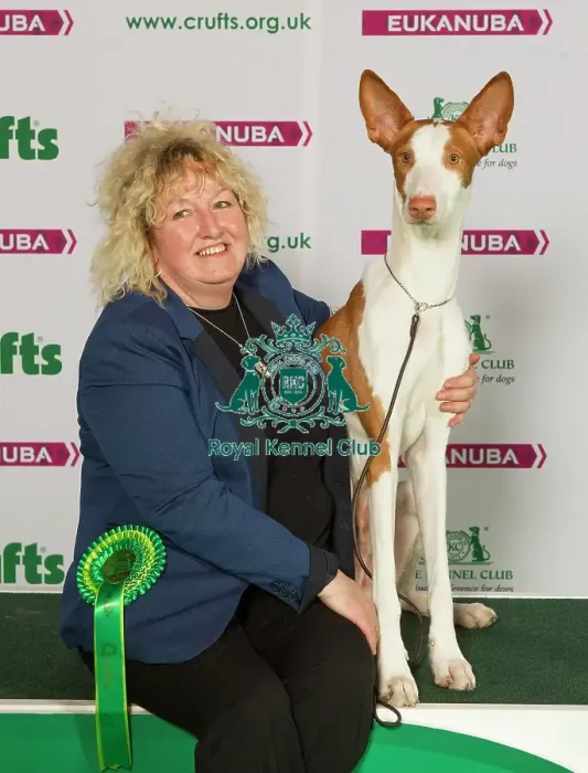 Framed Print : Crufts 2015 Framed Print : Crufts 2015