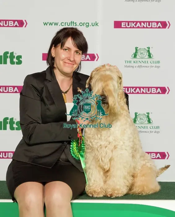 Framed Print : Crufts 2015 Framed Print : Crufts 2015