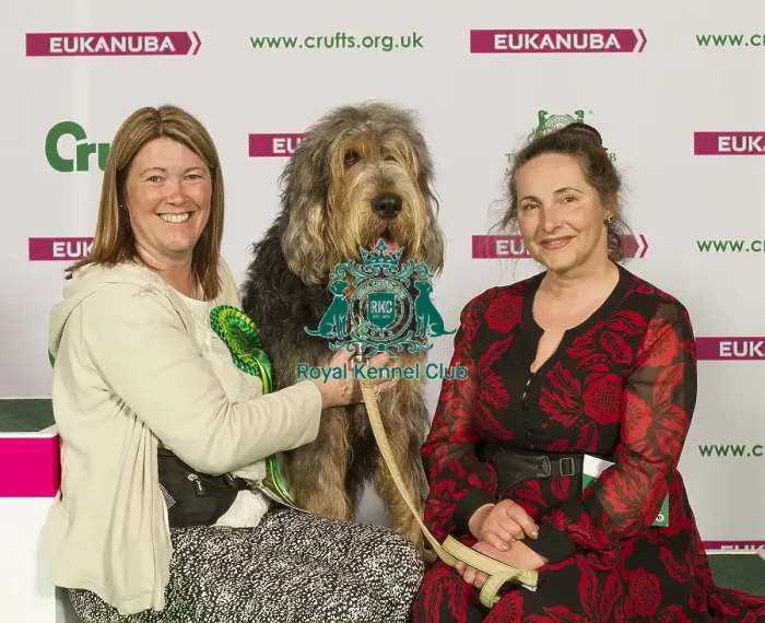 Framed Print : Crufts 2015