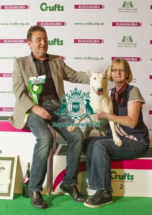 Framed Print : Crufts 2015 Framed Print : Crufts 2015