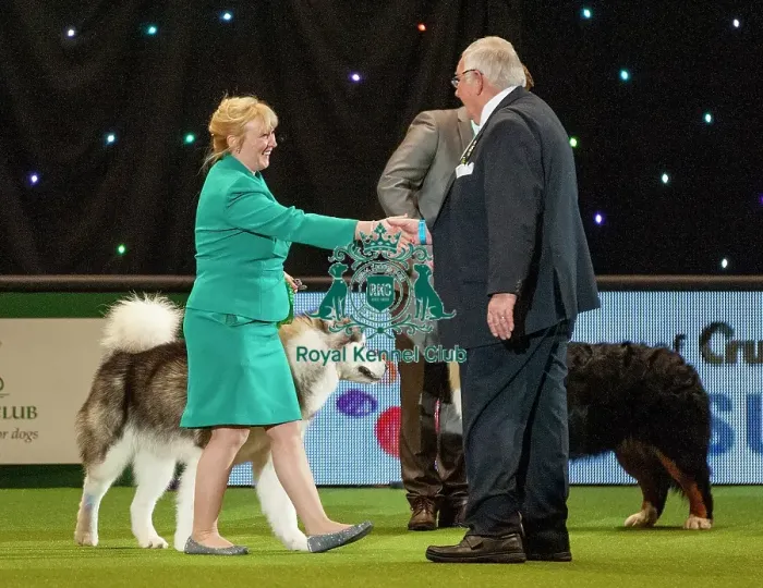 Framed Print : Crufts 2015 Framed Print : Crufts 2015