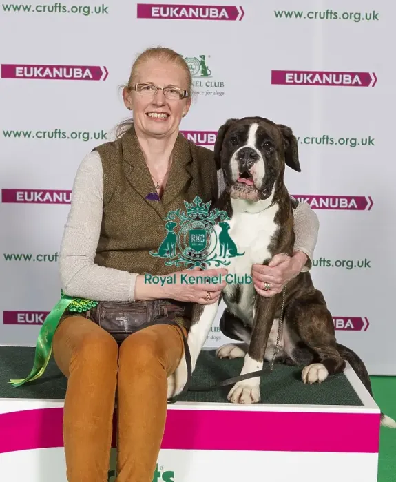 Framed Print : Crufts 2015 Framed Print : Crufts 2015