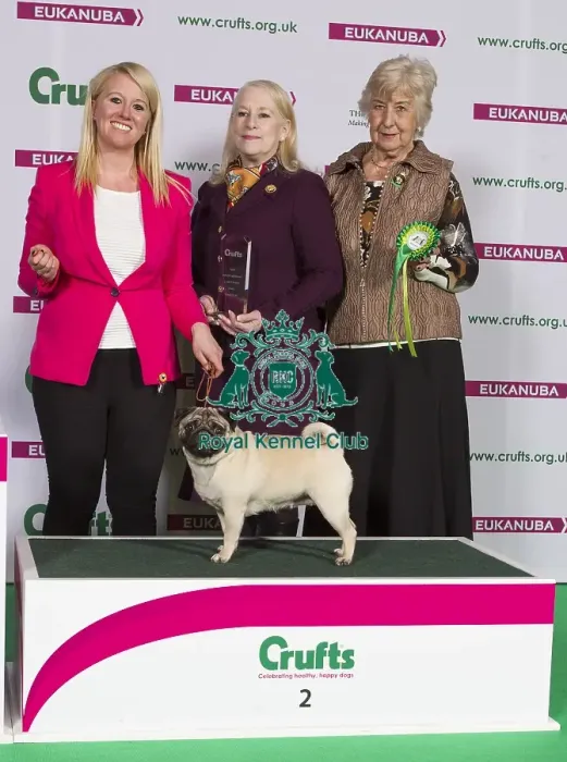 Framed Print : Crufts 2015 Framed Print : Crufts 2015