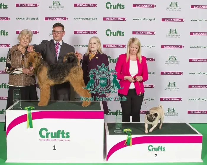 Framed Print : Crufts 2015 Framed Print : Crufts 2015