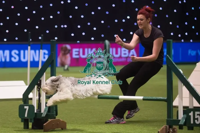 Framed Print : Crufts 2015 Framed Print : Crufts 2015
