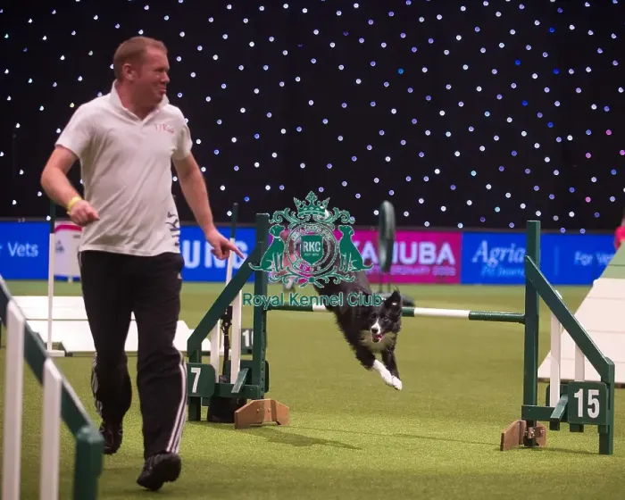 Framed Print : Crufts 2015 Framed Print : Crufts 2015