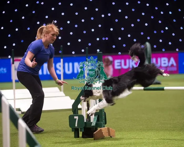 Framed Print : Crufts 2015 Framed Print : Crufts 2015