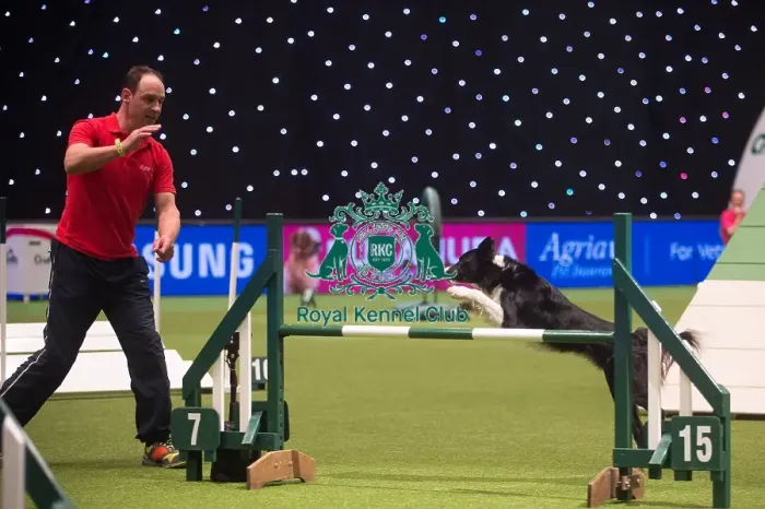 Framed Print : Crufts 2015