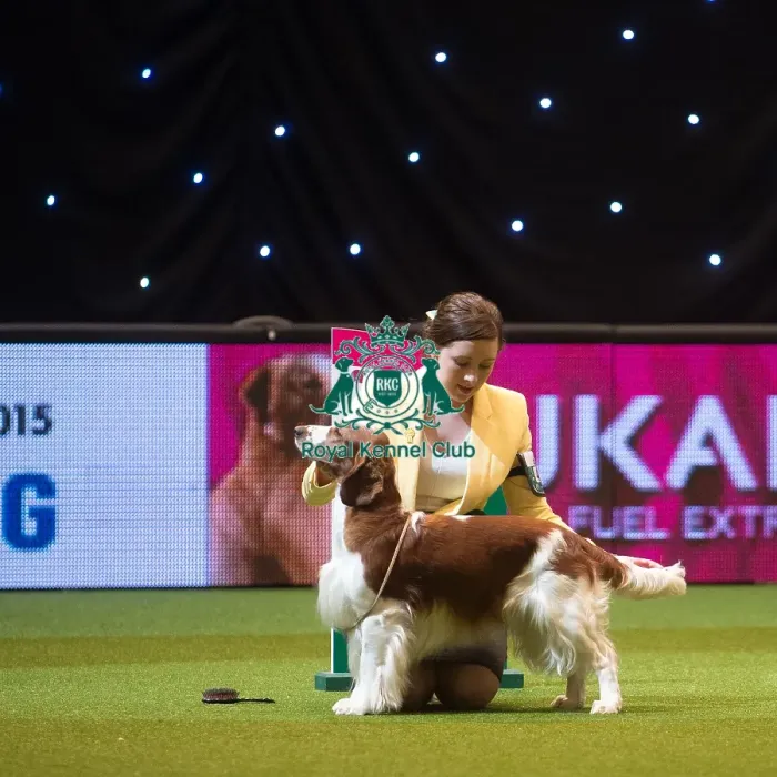 Framed Print : Crufts 2015 Framed Print : Crufts 2015
