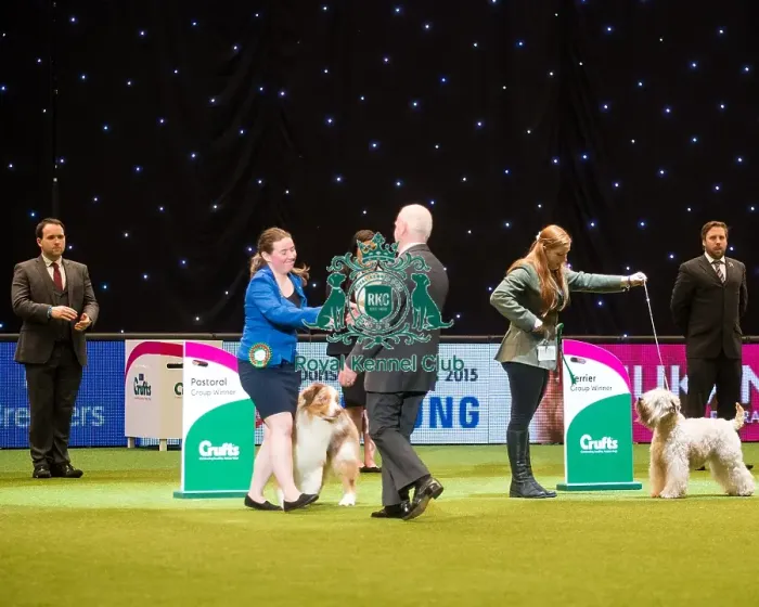 Framed Print : Crufts 2015 Framed Print : Crufts 2015