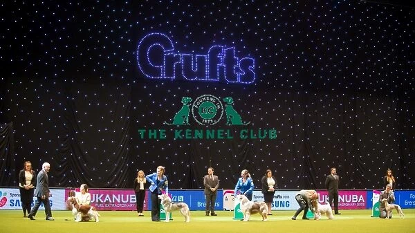 Crufts 2015