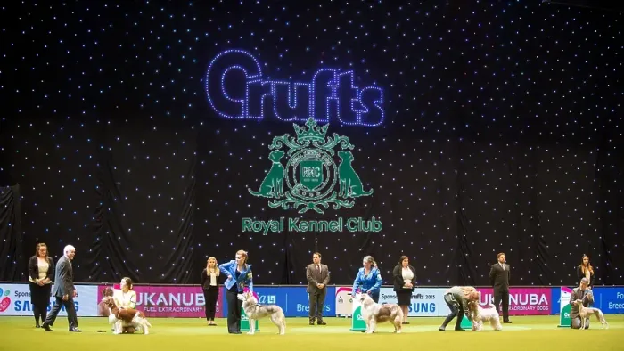 Framed Print : Crufts 2015 Framed Print : Crufts 2015