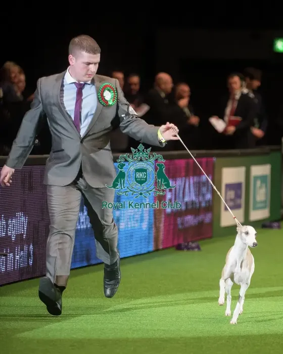 Framed Print : Crufts 2015 Framed Print : Crufts 2015