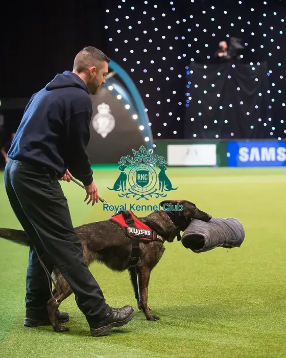 Framed Print : Crufts 2015 Framed Print : Crufts 2015