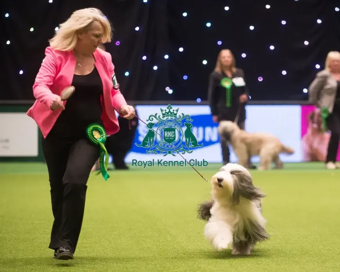 Framed Print : Crufts 2015 Framed Print : Crufts 2015