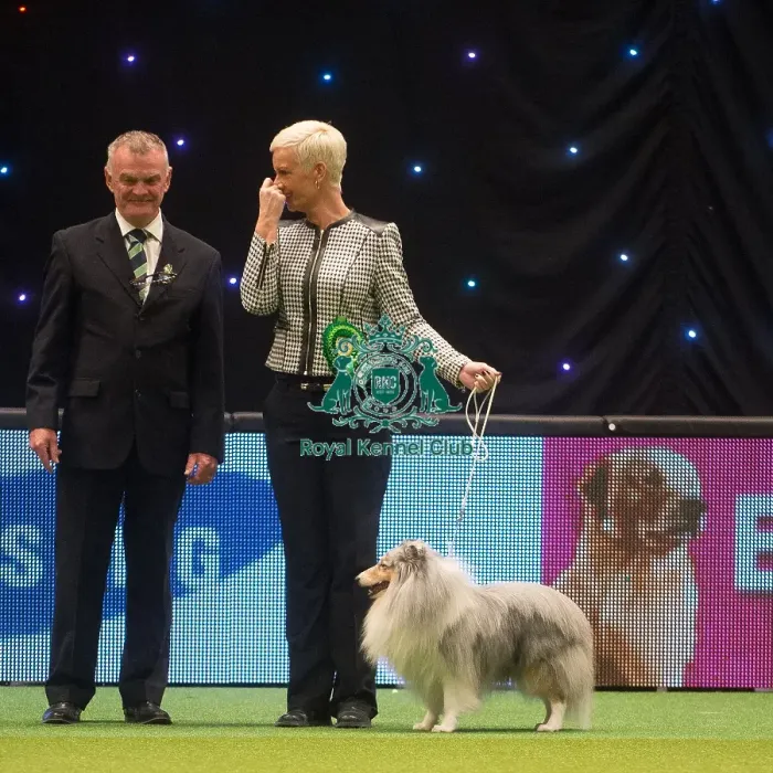 Framed Print : Crufts 2015 Framed Print : Crufts 2015