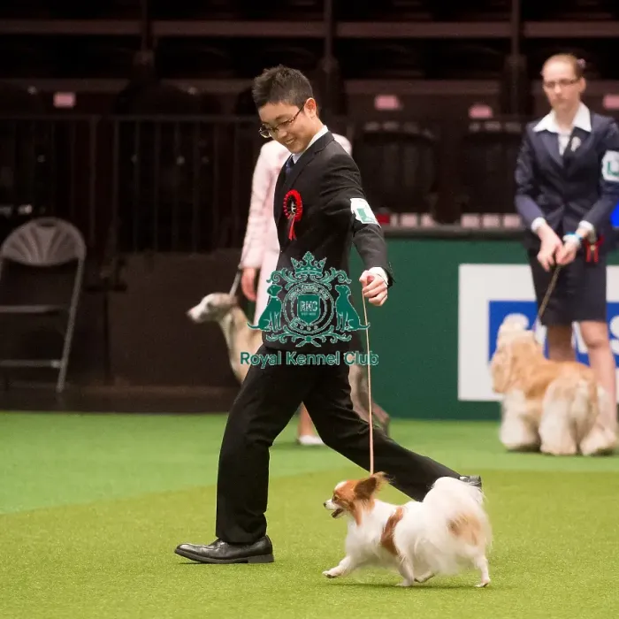 Framed Print : Crufts 2015 Framed Print : Crufts 2015