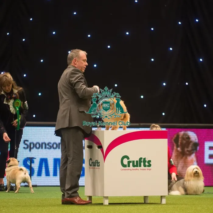 Framed Print : Crufts 2015 Framed Print : Crufts 2015